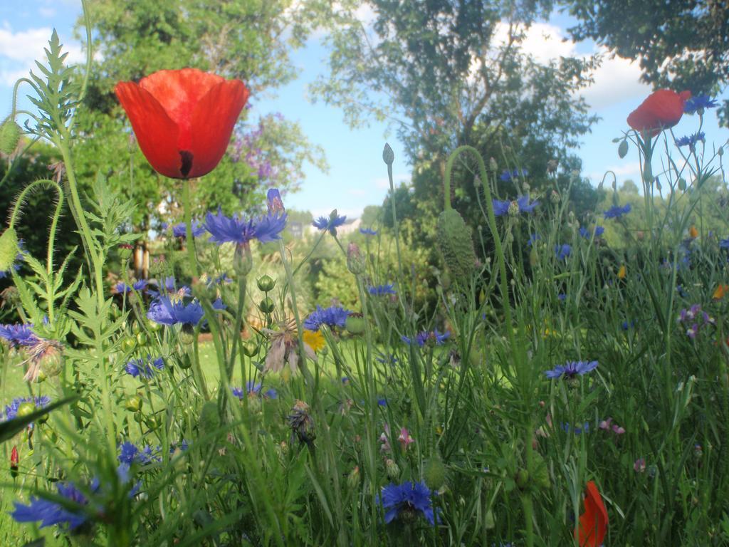 Holiday home La Grange Du Bout Du Chemin *